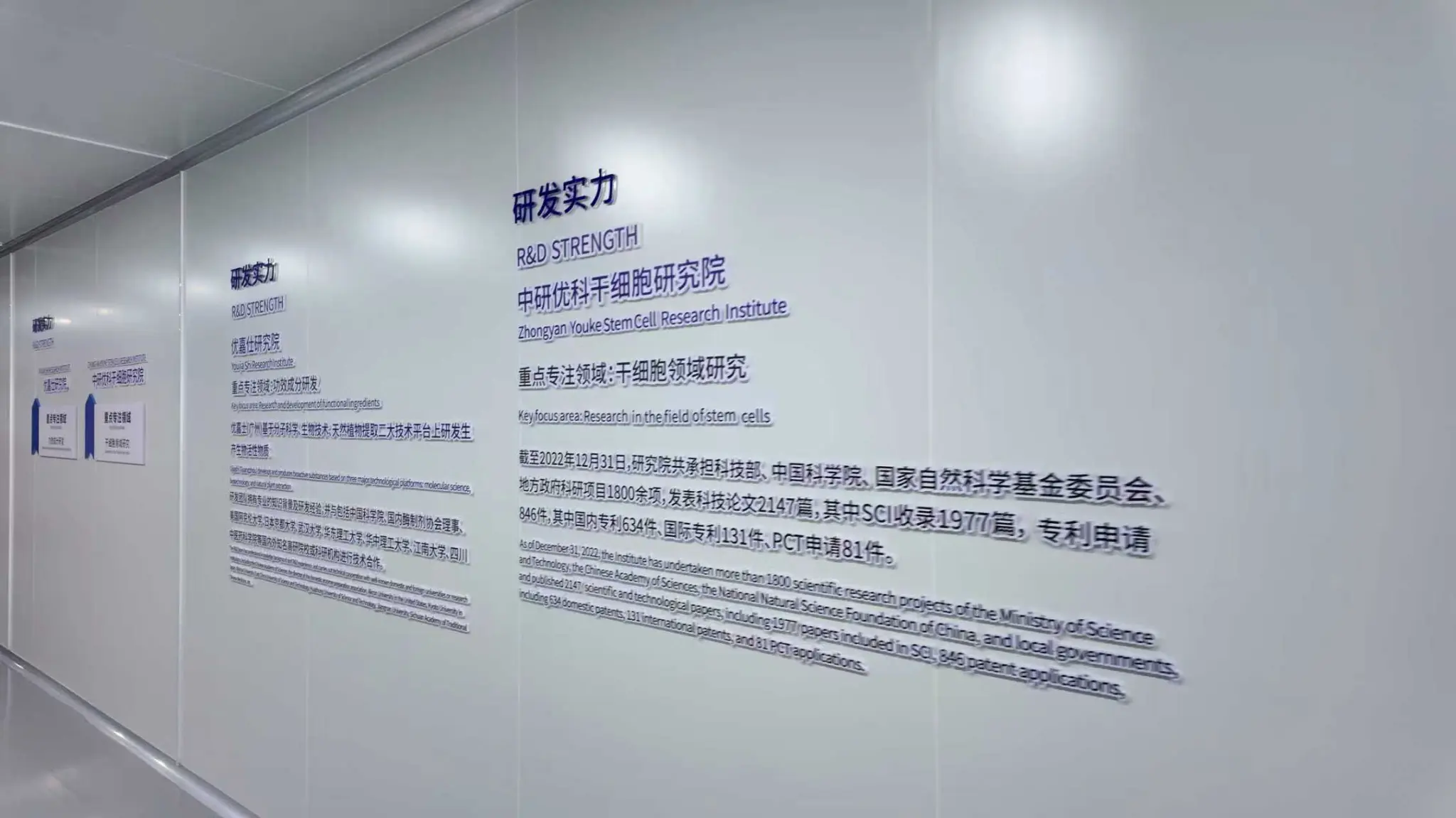 R&D Innovation Capabilities